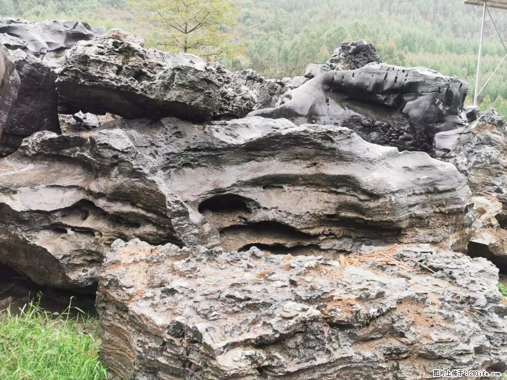 风景石、假山石大量有货，有需要的欢迎联系 - 新手上路 - 伊春生活社区 - 伊春28生活网 yich.28life.net