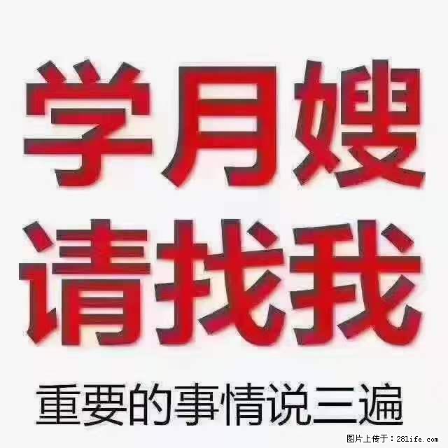 为什么要学习月嫂，育婴师？ - 其他广告 - 广告专区 - 伊春分类信息 - 伊春28生活网 yich.28life.net