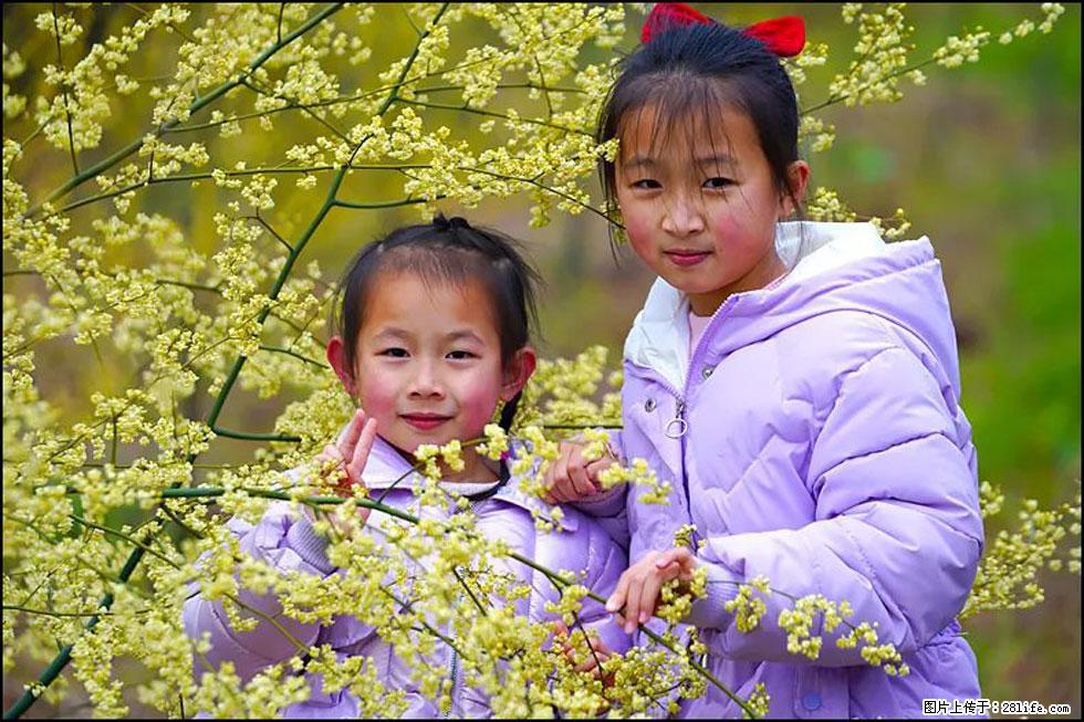 【春天，广西桂林灌阳县向您发出邀请！】米珠山前有片山苍子花在飘香 - 游山玩水 - 伊春生活社区 - 伊春28生活网 yich.28life.net