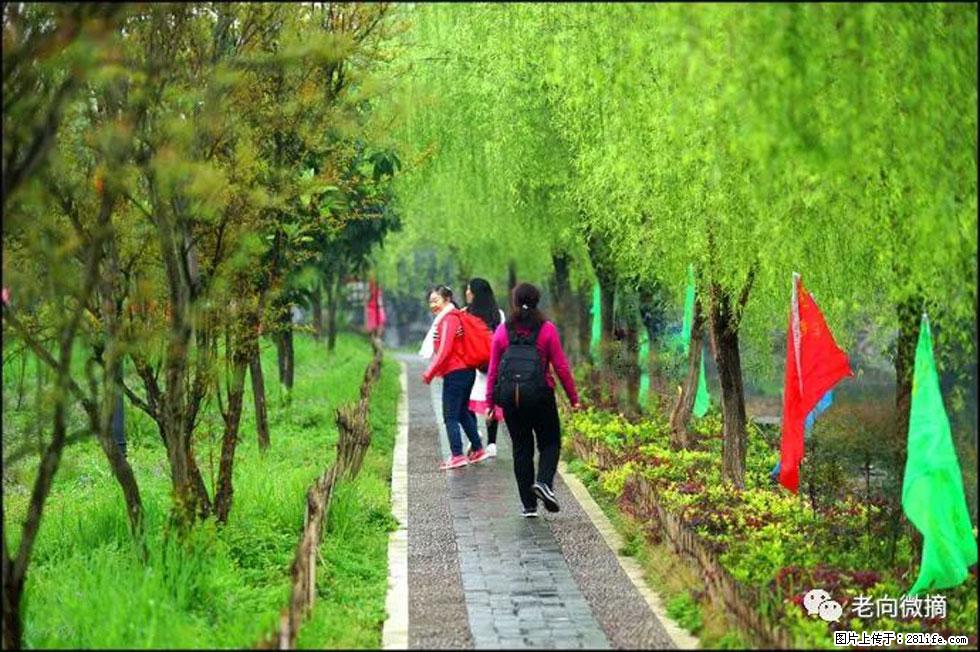 【春天，广西桂林灌阳县向您发出邀请！】江口老街又逢春 - 游山玩水 - 伊春生活社区 - 伊春28生活网 yich.28life.net