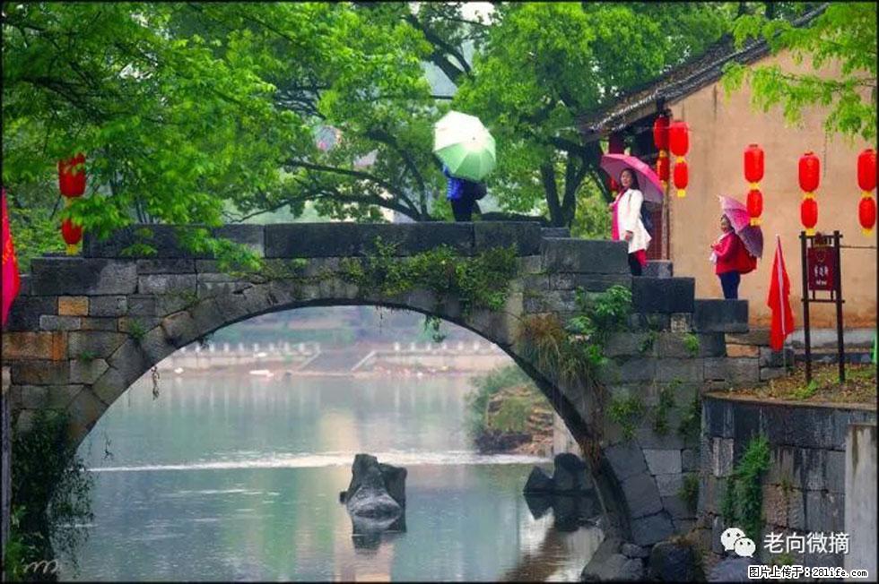 【春天，广西桂林灌阳县向您发出邀请！】江口老街又逢春 - 游山玩水 - 伊春生活社区 - 伊春28生活网 yich.28life.net