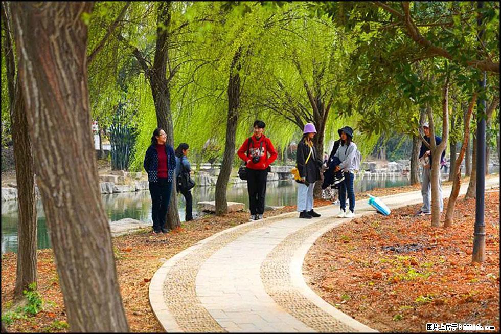 【春天，广西桂林灌阳县向您发出邀请！】江口老街又逢春 - 游山玩水 - 伊春生活社区 - 伊春28生活网 yich.28life.net