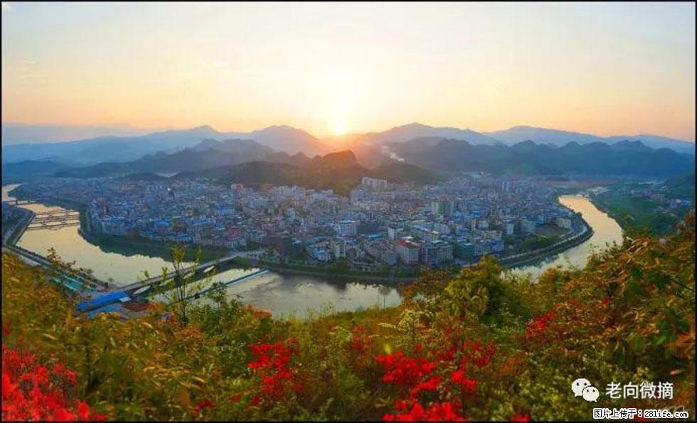 【春天，广西桂林灌阳县向您发出邀请！】登麒麟山，相约映山红 - 游山玩水 - 伊春生活社区 - 伊春28生活网 yich.28life.net