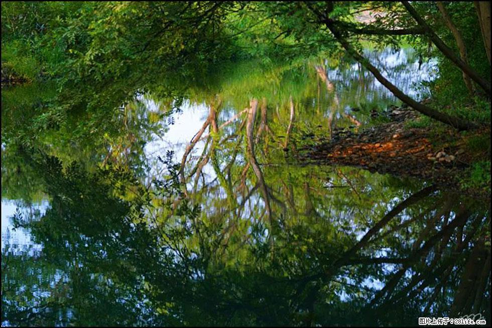 【春天，广西桂林灌阳县向您发出邀请！】熊家寨湿地公园 - 游山玩水 - 伊春生活社区 - 伊春28生活网 yich.28life.net