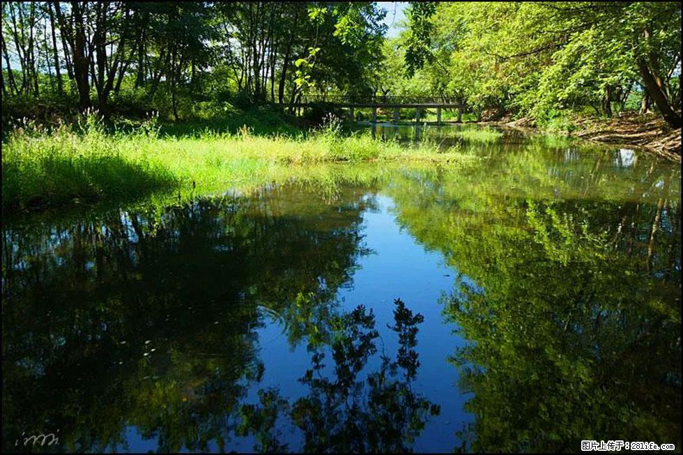 【春天，广西桂林灌阳县向您发出邀请！】熊家寨湿地公园 - 游山玩水 - 伊春生活社区 - 伊春28生活网 yich.28life.net