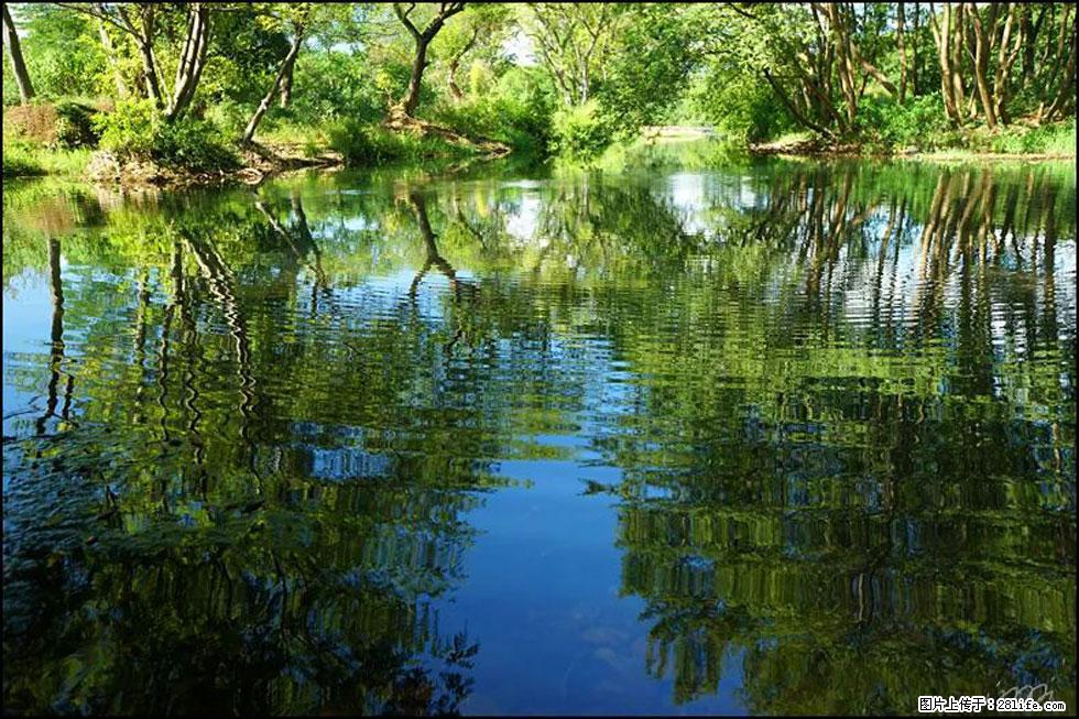 【春天，广西桂林灌阳县向您发出邀请！】熊家寨湿地公园 - 游山玩水 - 伊春生活社区 - 伊春28生活网 yich.28life.net
