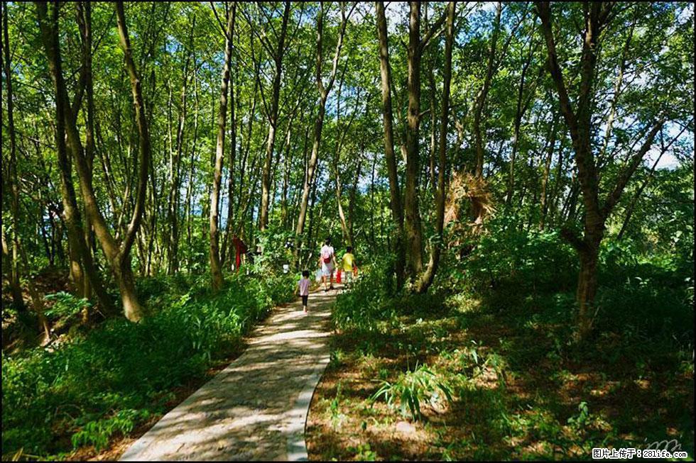 【春天，广西桂林灌阳县向您发出邀请！】熊家寨湿地公园 - 游山玩水 - 伊春生活社区 - 伊春28生活网 yich.28life.net
