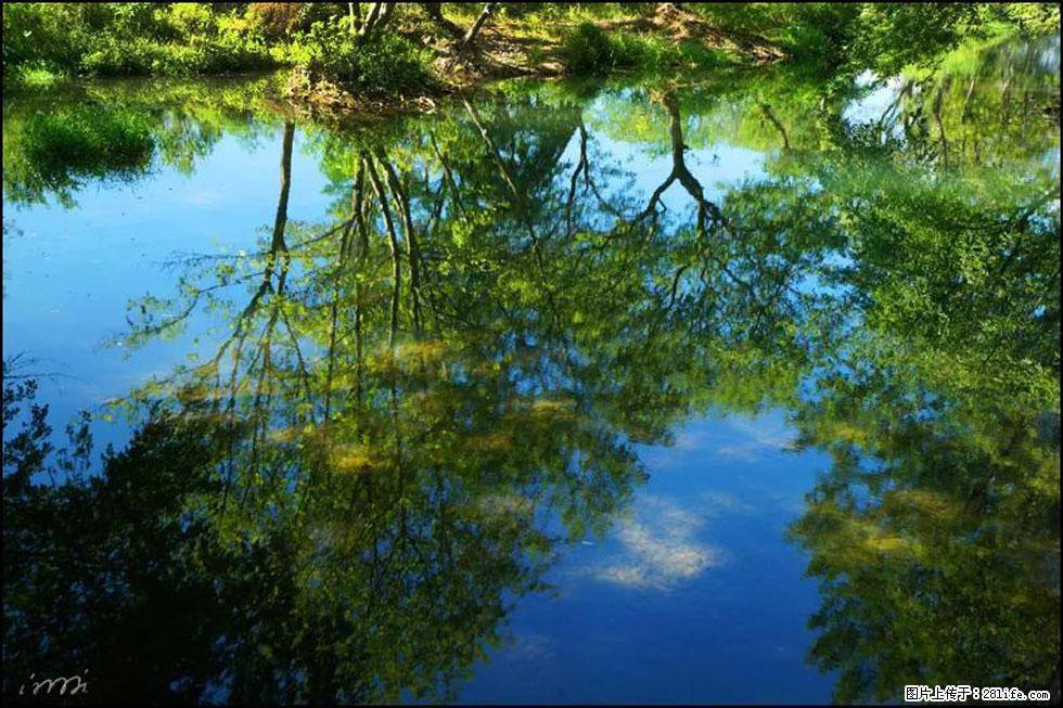 【春天，广西桂林灌阳县向您发出邀请！】熊家寨湿地公园 - 游山玩水 - 伊春生活社区 - 伊春28生活网 yich.28life.net