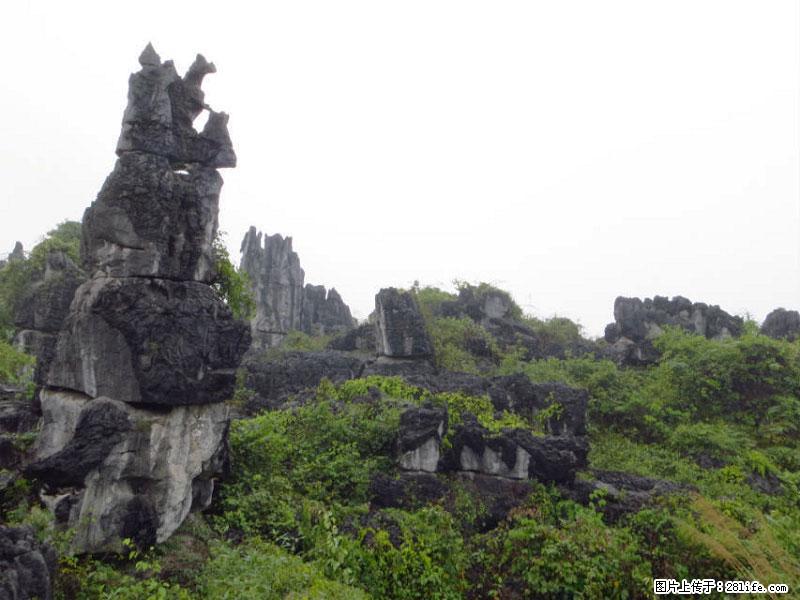 桂林旅游名城景点：灌阳文市石林 - 游山玩水 - 伊春生活社区 - 伊春28生活网 yich.28life.net
