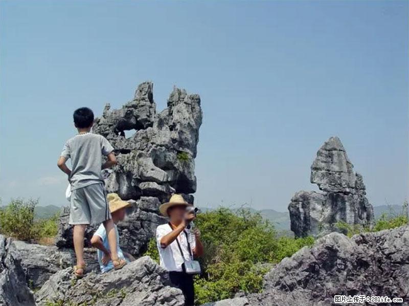 桂林旅游名城景点：灌阳文市石林 - 游山玩水 - 伊春生活社区 - 伊春28生活网 yich.28life.net