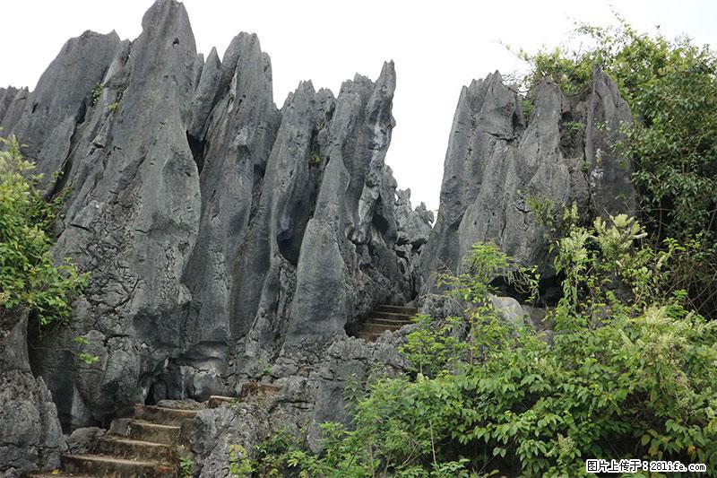 桂林旅游名城景点：灌阳文市石林 - 游山玩水 - 伊春生活社区 - 伊春28生活网 yich.28life.net