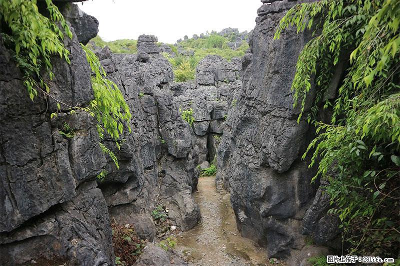 桂林旅游名城景点：灌阳文市石林 - 游山玩水 - 伊春生活社区 - 伊春28生活网 yich.28life.net