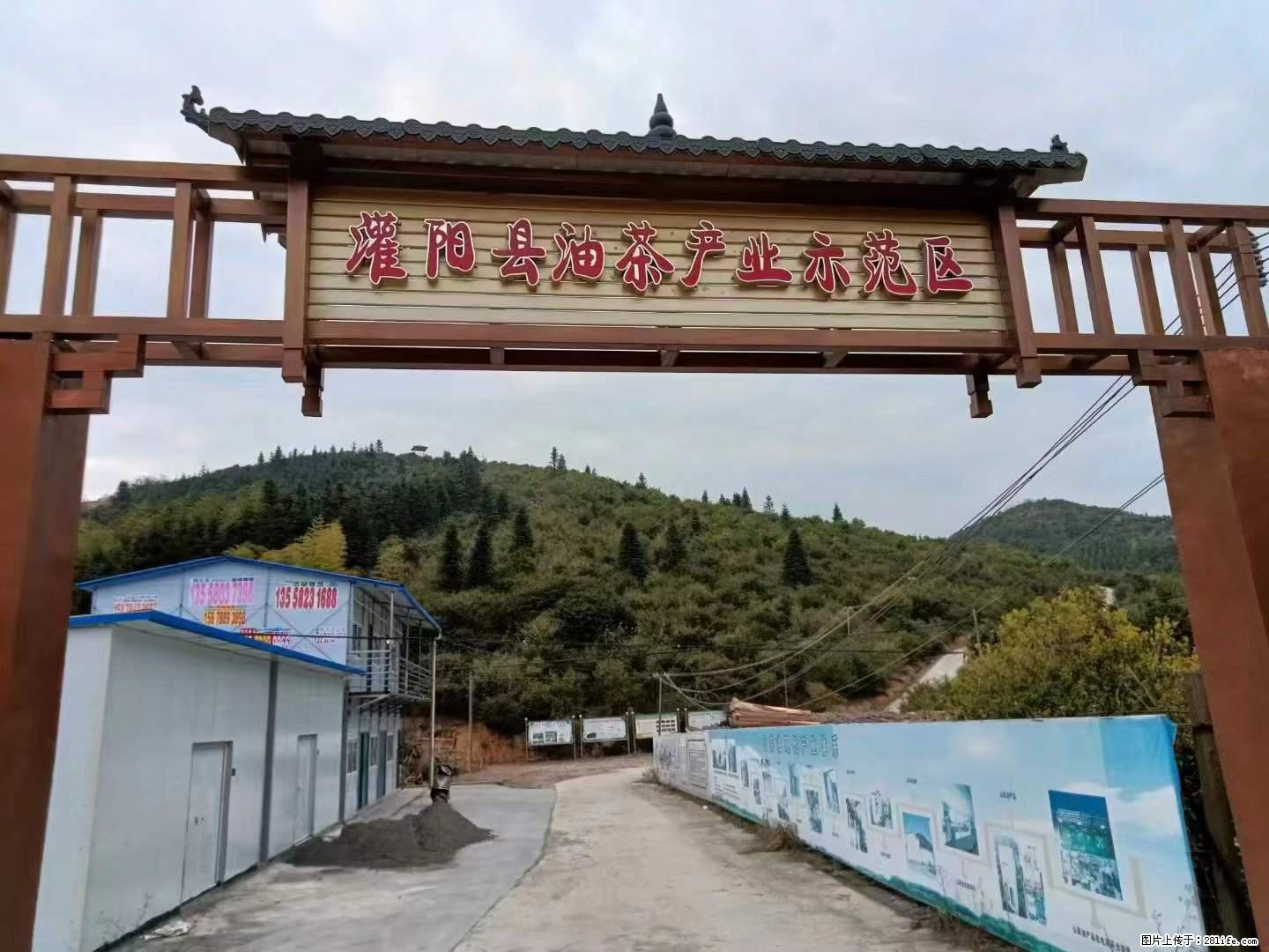 【灌阳县油茶产业示范区】一个有着充实的精神生活的人，对待身外之物自会有一种淡泊的态度 - 土特产 - 饮食特产 - 伊春分类信息 - 伊春28生活网 yich.28life.net