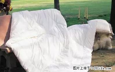被子有异味？只要这样做，比晒太阳还强100倍！ - 家居生活 - 伊春生活社区 - 伊春28生活网 yich.28life.net