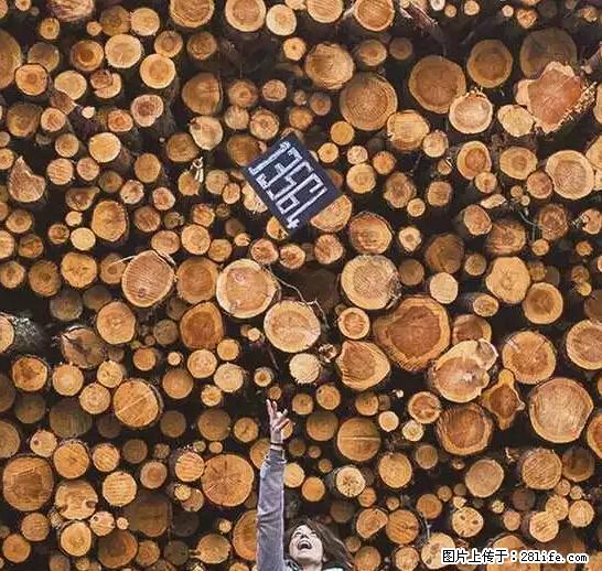 辞掉工作周游世界？现在他们在洗厕所…… - 游山玩水 - 伊春生活社区 - 伊春28生活网 yich.28life.net