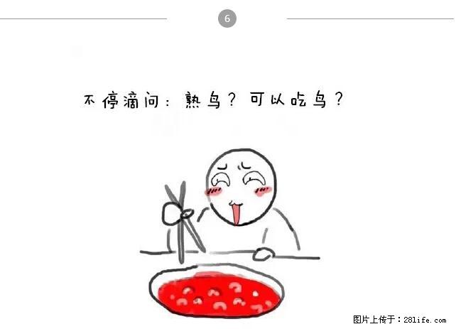千万不要和这9种哈卵一起吃火锅! - 美食天地 - 伊春生活社区 - 伊春28生活网 yich.28life.net
