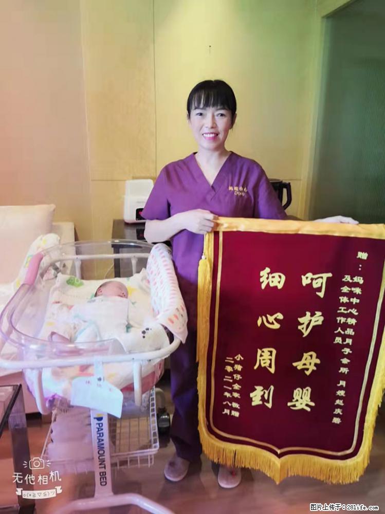 上海高端月子会所招新手月嫂，零基础带教，包吃住 - 职场交流 - 伊春生活社区 - 伊春28生活网 yich.28life.net