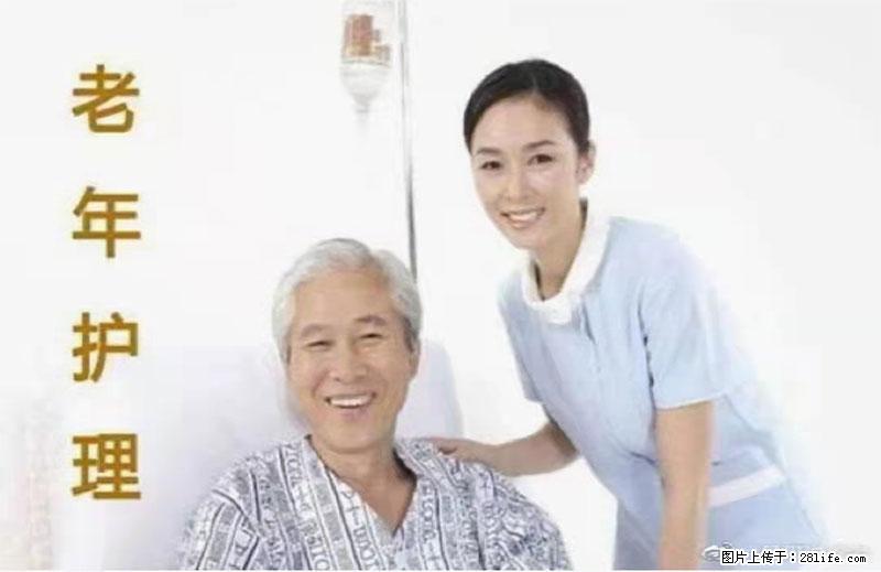 上海国企养老院，星级酒店环境，招聘养老护工 - 职场交流 - 伊春生活社区 - 伊春28生活网 yich.28life.net