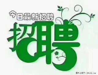 【招聘摄像师】待遇：试用期6000元/月，转正7000元/月+五险一金+餐补+节日福利+奖金 - 伊春28生活网 yich.28life.net