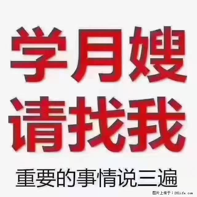【招聘】月嫂，上海徐汇区 - 职场交流 - 伊春生活社区 - 伊春28生活网 yich.28life.net