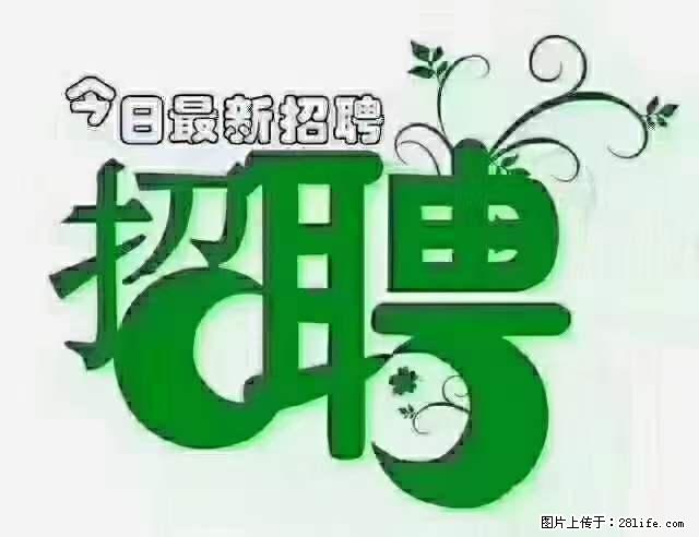 上海隔离酒店招人：55岁以下 男女不限 - 职场交流 - 伊春生活社区 - 伊春28生活网 yich.28life.net