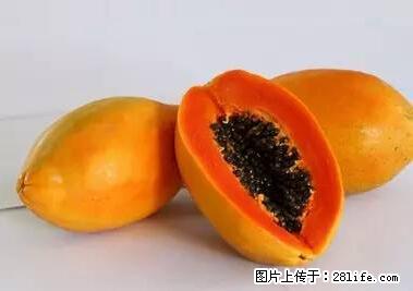 晕车、脚气、牙齿变黄、皮肤粗糙？学会这些三分钟搞定！ - 伊春生活资讯 - 伊春28生活网 yich.28life.net