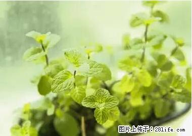 晕车、脚气、牙齿变黄、皮肤粗糙？学会这些三分钟搞定！ - 伊春生活资讯 - 伊春28生活网 yich.28life.net