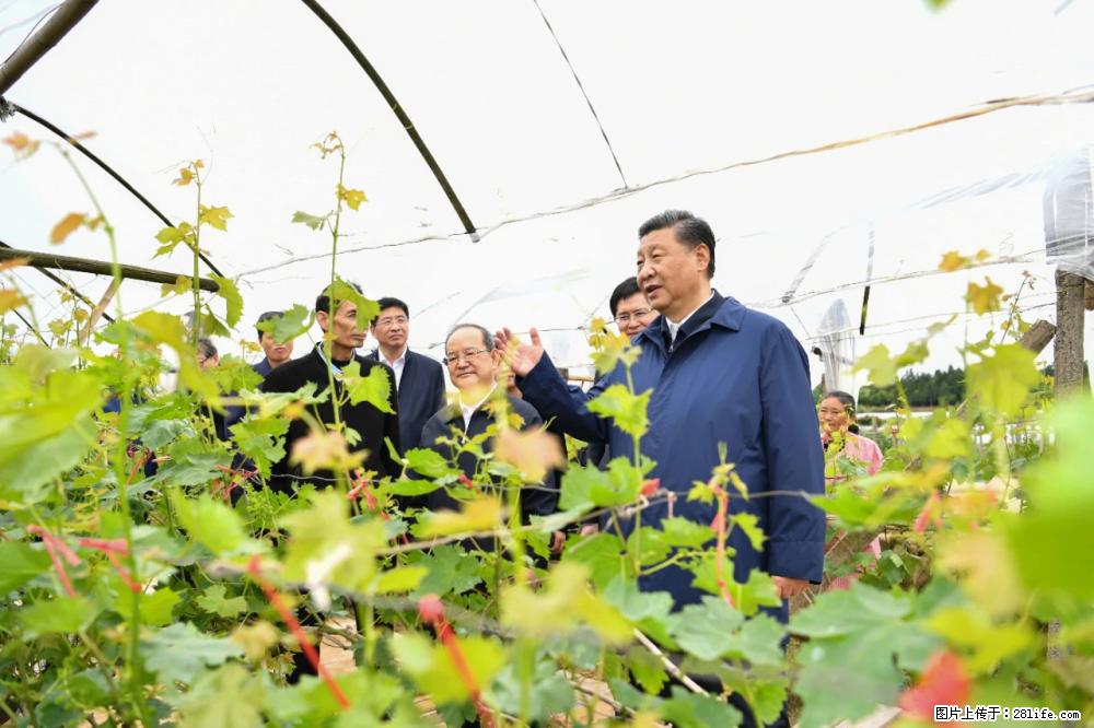 习近平赴广西考察调研 - 伊春生活资讯 - 伊春28生活网 yich.28life.net