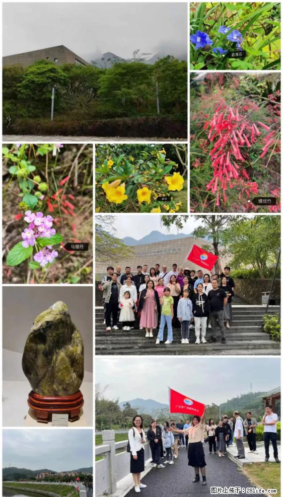 “粤灌文化 美好生活”油茶文化主题活动在广东深圳成功举办 - 伊春生活资讯 - 伊春28生活网 yich.28life.net