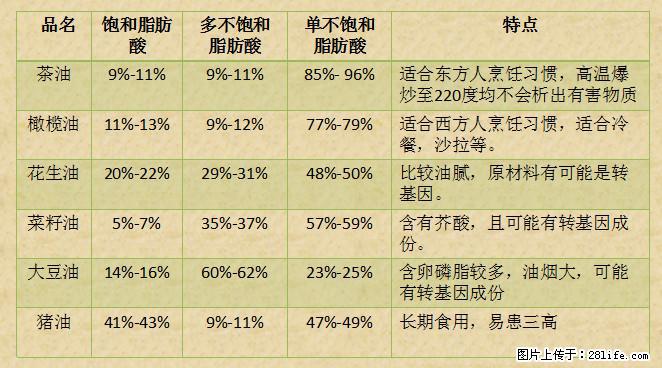 揭秘茶油的5大核心营养成分！被称为人体健康的“守护盾”！ - 伊春生活资讯 - 伊春28生活网 yich.28life.net