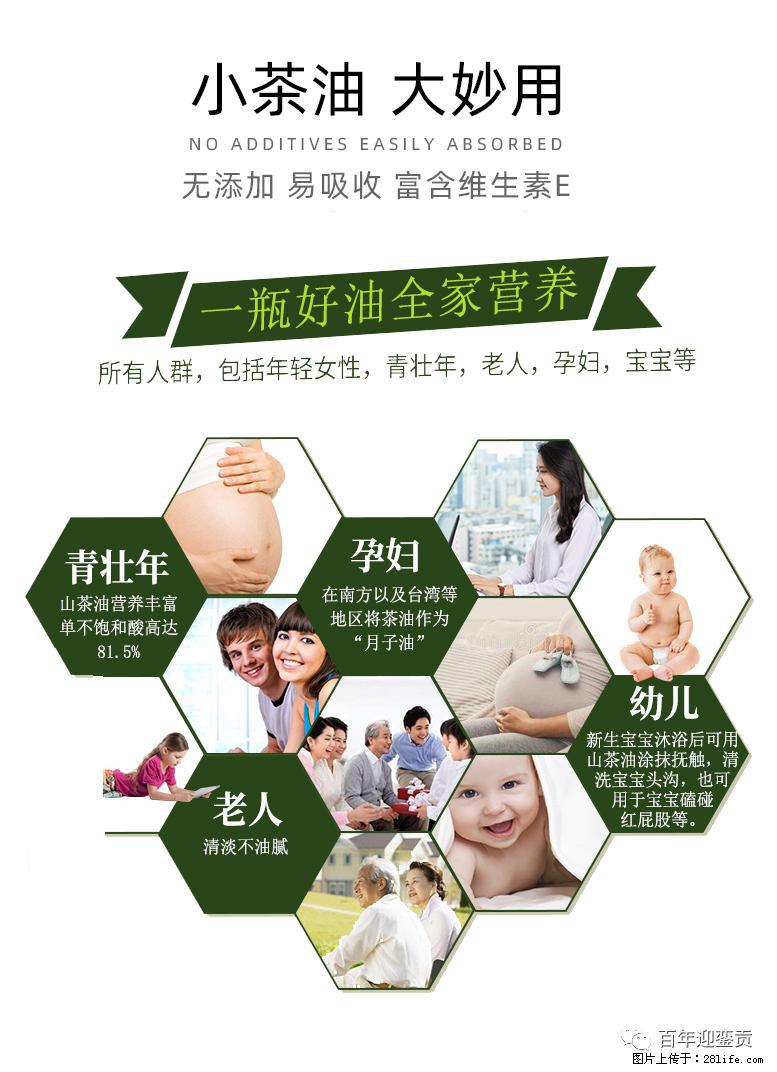 世界没有真相，只有认知，最好的食用油是中国的山茶油！ - 伊春生活资讯 - 伊春28生活网 yich.28life.net
