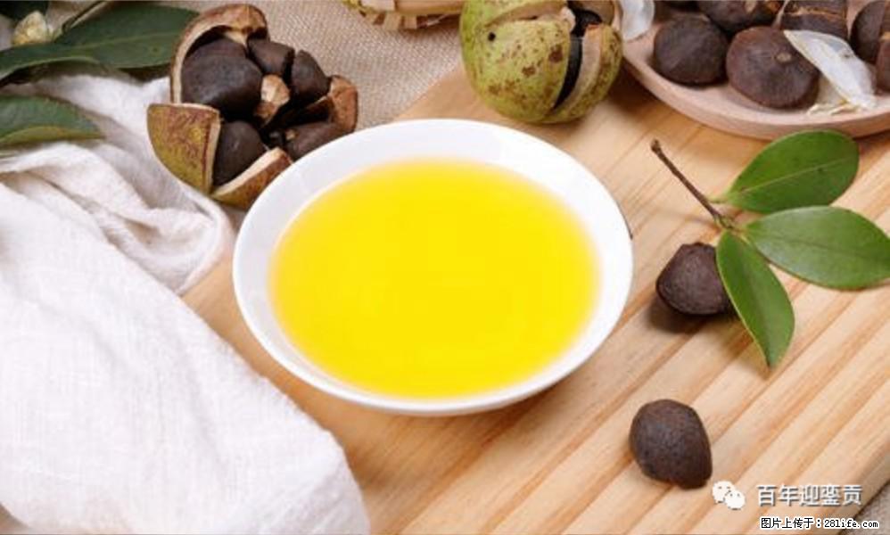 世界没有真相，只有认知，最好的食用油是中国的山茶油！ - 伊春生活资讯 - 伊春28生活网 yich.28life.net