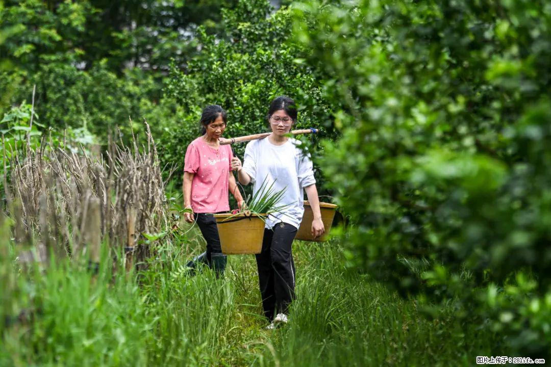 全网追的“扁担女孩”，找了一份暑假工，时薪12元 - 伊春生活资讯 - 伊春28生活网 yich.28life.net