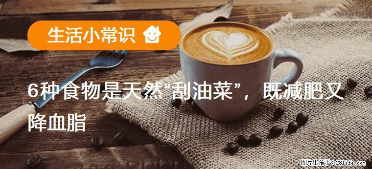 【生活小常识】6种食物是天然“刮油菜”，既减肥又降血脂 - 伊春生活资讯 - 伊春28生活网 yich.28life.net