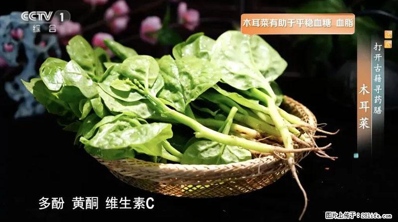 比牛奶补钙还厉害！凉血解毒、稳血糖...这菜冬天必吃，很多人却当草 - 伊春生活资讯 - 伊春28生活网 yich.28life.net