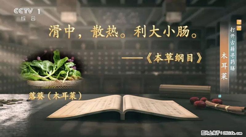 比牛奶补钙还厉害！凉血解毒、稳血糖...这菜冬天必吃，很多人却当草 - 伊春生活资讯 - 伊春28生活网 yich.28life.net