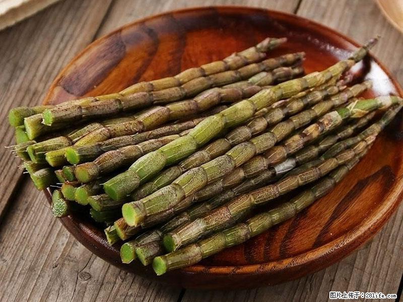铁皮石斛的作用与功能主治 - 伊春生活资讯 - 伊春28生活网 yich.28life.net