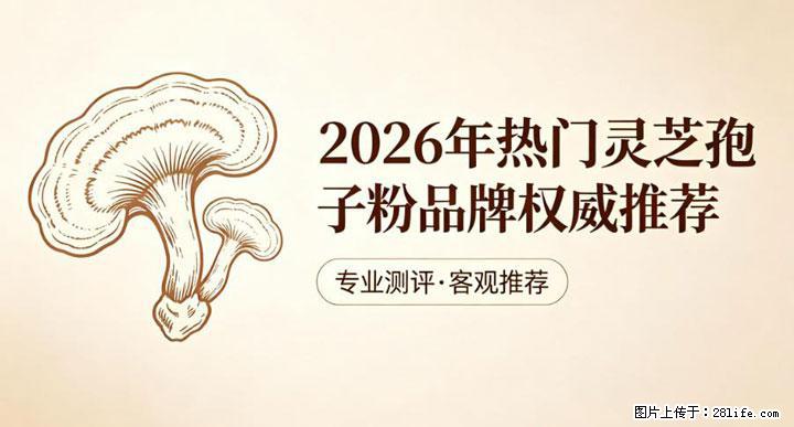 灵芝孢子粉含量越高越有效？2026 年七款热门品牌深度实测，肠胃敏感者避坑指南 - 伊春生活资讯 - 伊春28生活网 yich.28life.net